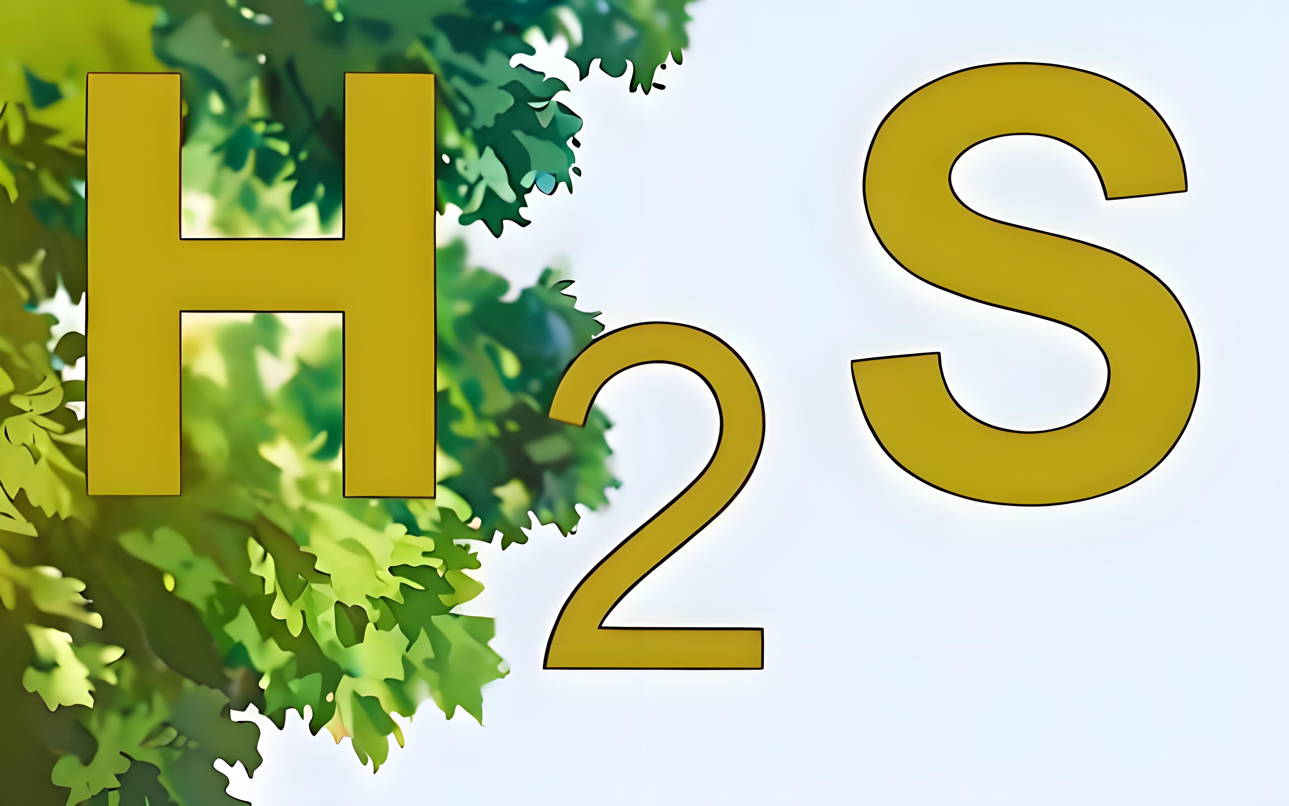 氣體檢測儀氫氣報警閾值和硫化氫的有什么區(qū)別？